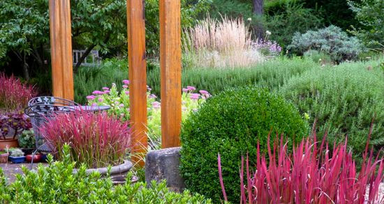 Arthur Lathouris Designer, Australian garden, Asiatic garden idea, eclectic garden idea